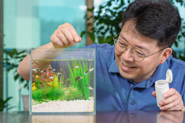 Aquarium Shopping Checklist 