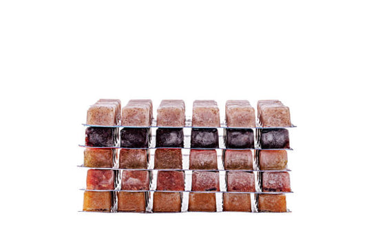 Introduce Frozen Fish Food