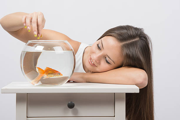 Goldfish Sleeping Habits 