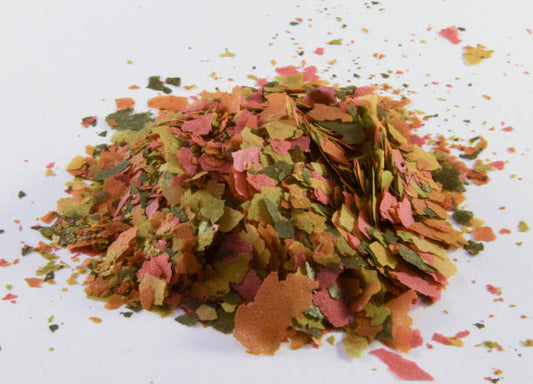 Store Fish Food Flakes to Keep Them Fresh