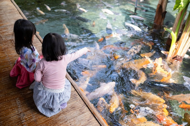 Backyard Koi Pond Australia