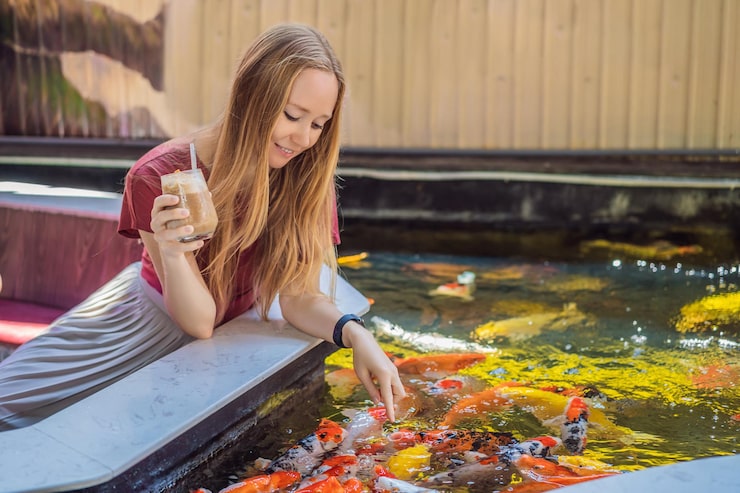 Most Expensive Koi Colours