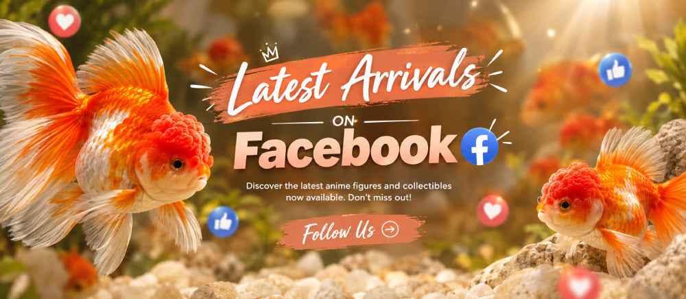 See Our Latest Arrivals on