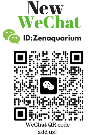 WeChat QR code